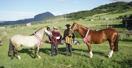 Expo Aysén consagró a Firmamento y Vieja Coyhaiquina como los mejores