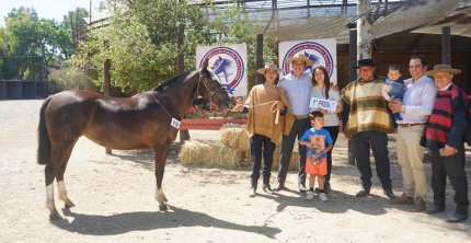 Los premiados por categoría de la Expo Melipilla 2025