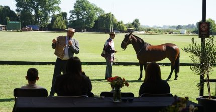 El gran día vivido en la Asociación de Criadores de Curicó