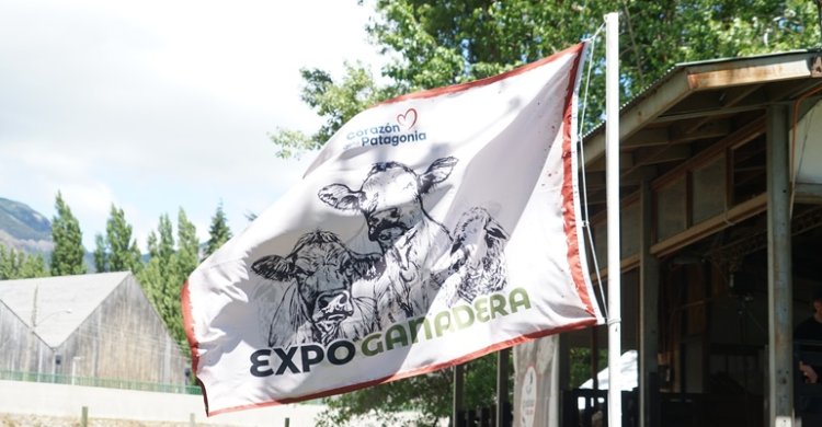 Criadores de Aysén participaron con exposición en la III Expo Ganadera