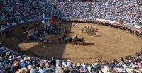 Comenzó la venta de stands para el 77° Campeonato Nacional de Rodeo.