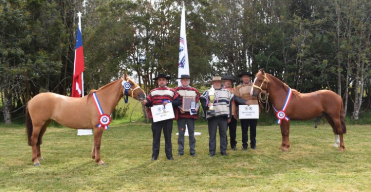 Las Quebradas Esquiva y Nieves Eternas Papelucho ganaron la Expo Castro Chiloé