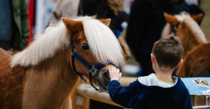 Se cerró el Salón del Caballo en París y dejó esta selección de imágenes