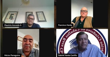 Raza Chilena: La previa de las Exposiciones de Cordillera y Los Andes