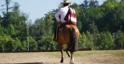 [STREAMING] Sigue la Expo Cordillera 2025 en Ecos Sonido e Imagen