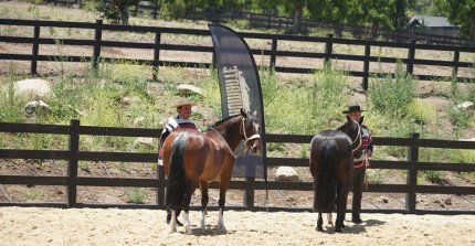 Paso a paso: La exposición de los Criadores de Cordillera
