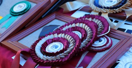 [STREAMING] Sigue la Expo Ñuble en C y G Tv