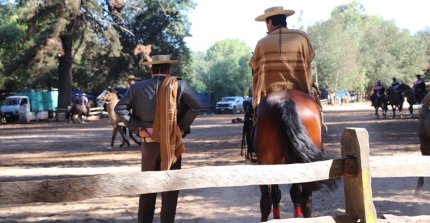 La visita de la Federación de Criadores a la Medialuna de Pemuco