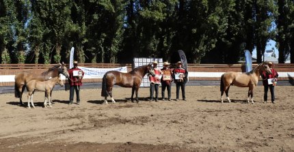 Los Grandes Premios de la Expo Ñuble de diciembre de 2025