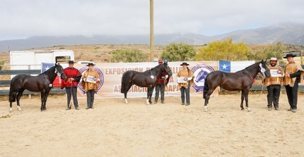 Exposición de los Criadores de Choapa se realizará este sábado en Illapel