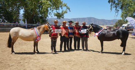 Safira y Herrero reinaron como mejores ejemplares en la Exposición de Ferocam