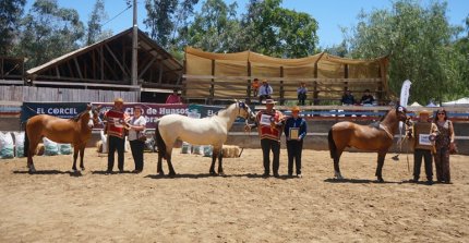 Los Grandes Premios de la Expo Ferocam 2025-2026