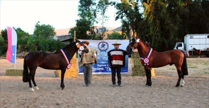 Expo Choapa: Camisa y Carajo triunfaron en el cierre de la temporada