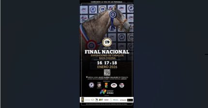 Organizadores de las Finales de Pemuco avanzan fuertemente en la preparación del recinto