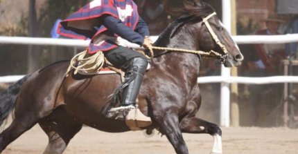 Los inscritos para la Final Nacional de Rienda sin Fronteras