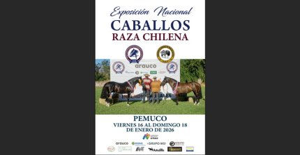 Este es el catálogo de la Exposición Nacional 2025-2026