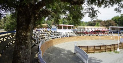 Lanco tiene un rodeo de calidad preparado para este fin de semana