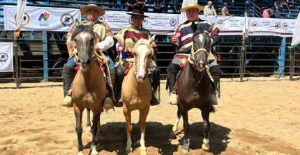 Los Molinos de Punitaqui encabezó el primer grupo de clasificados a la gran Final de Aparta de Ganado