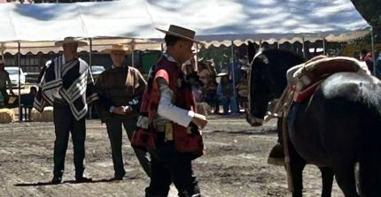 Los resultados de la Final Nacional de Pruebas Funcionales Pemuco 2026