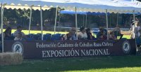 [EN VIVO] La jura de las categorías de machos de la Expo Nacional