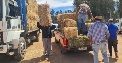 Comunicado "Los Huasos Corren por Chile"