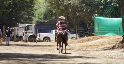Se corre la Primera Libre B de la Final de Rodeos Para Criadores 2026