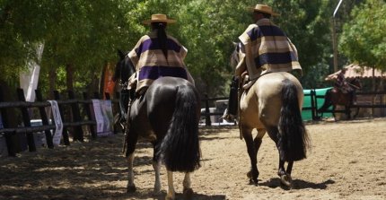 Alvaro Gatica en Cauquenes: Está todo muy bonito y bien presentado
