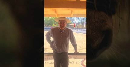 Raza Chilena en Cauquenes: La previa de la Final de Rodeos Para Criadores