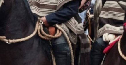 Listado de colleras para el Interasociaciones Limitado de Panguipulli