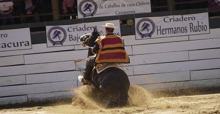 La victoria de Bernardo Meza en el Movimiento a la Rienda de Cauquenes