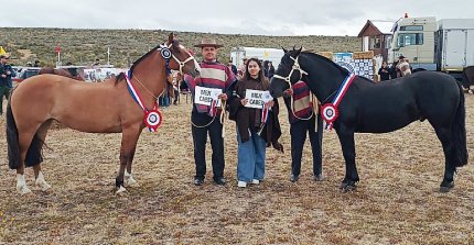 Criadero Doña Maruja se llevó los máximos premios en la Expo Magallanes