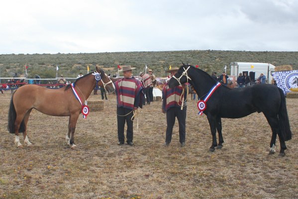 Revise esta galería con los grandes premios de la Expo Magallanes