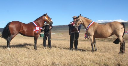 Leonera e Hilo Rojo se coronaron grandes campeones de la Expo Ultima Esperanza
