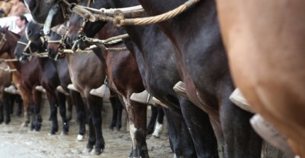 Eugenio Cepeda: "La expectativa sin duda es superar lo que se ha hecho año a año"