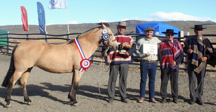 Goyko Pavlovic: "La Leonera representa el origen y la convicción de lo que criamos en Cordón Arauco”