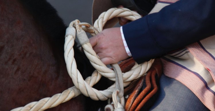 Las colleras premiadas a la final del Clasificatorio Zona Norte 2026