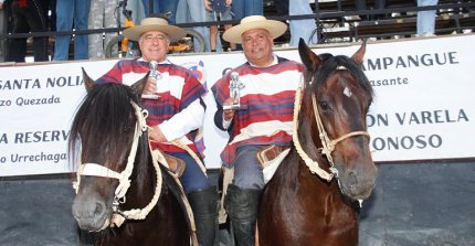 Criadero El Carmen de Nilahue sigue pisando firme en Melipilla