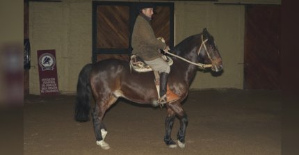 Pruebas Funcionales: Luis Bustos Venegas y Rodrigo Castell expondrán en Clínica de Rienda Sin Fronteras