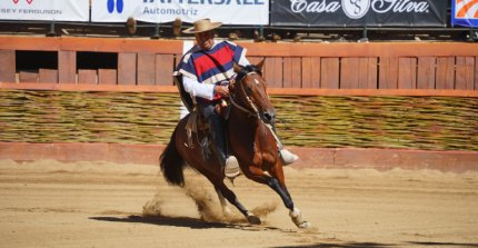 Movimiento a la Rienda en Rancagua: Los binomios que van por la gloria en el Champion de Chile