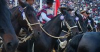 Las planillas del 77° Campeonato Nacional de Rodeo