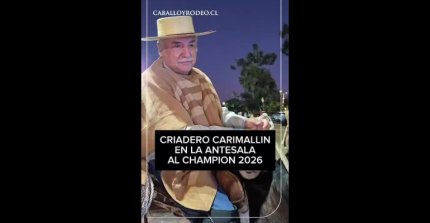 Aturo Ríos: Estamos felices por la campaña y por estar de nuevo en la pelea en Rancagua