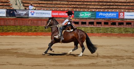 Las victorias de Riquelme y Guevara en el Movimiento a la Rienda Menores