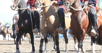 Pelluhue-Barrio Estación alista una fiesta huasa y del caballo en Cauquenes