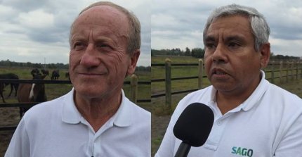 SAGO: Es bueno que entremos en la recta final para definir el Reglamento del Caballo Chileno