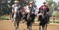 La Medialuna de Batuco vibró con el Rodeo Provincial del Club San Ramón
