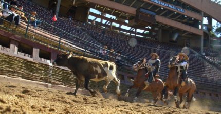 La III Final Nacional de Rodeo Mixto se corrió en la Monumental Rancagua