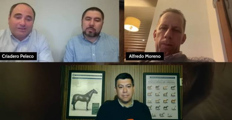 La Cuarta Atajada: En Raza Chilena sabemos de la crianza de Peleco y Palmas de Peñaflor