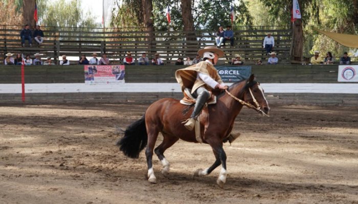El Movimiento a la Rienda del XIV Campeonato Nacional de Rodeo Femenino