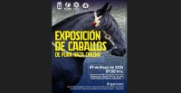 Con muchas ganas se espera en Vicuña la Exposición de los Criadores de Coquimbo