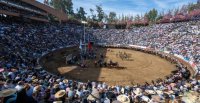 Se acerca el fin del plazo: Contesta la 3ª versión de la encuesta sobre el Campeonato Nacional de Rodeo